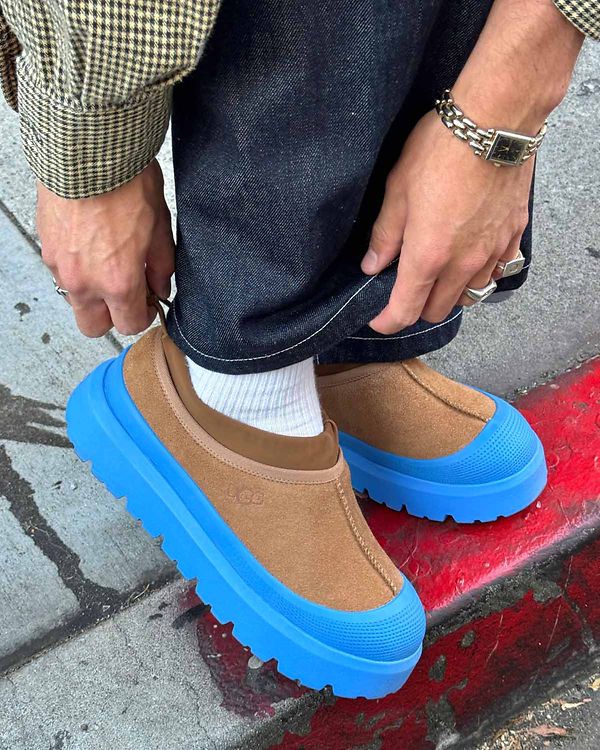 Fearless of wind & rain